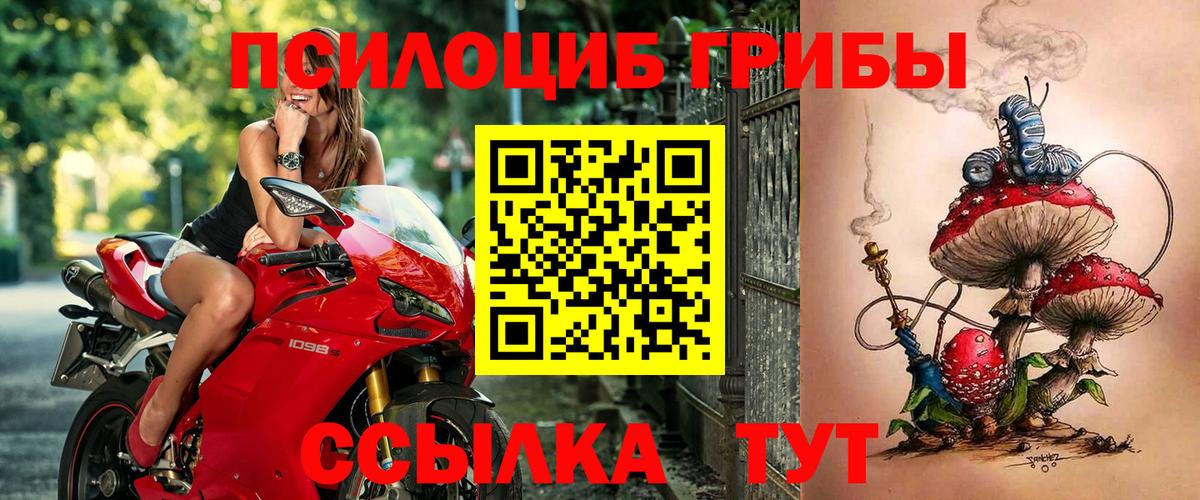 Галлюциногенные грибы Psilocybine cubensis Петропавловск-Камчатский