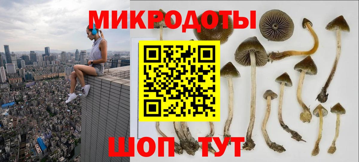 продажа наркотиков  Вход с VPN  Петропавловск-Камчатский  Псилоцибиновые грибы Psilocybine cubensis 
